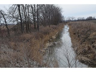 24 Grassland Acres - 20+/- Acres Wooded & 24+/- Acres Grassland, LAND AUCTION